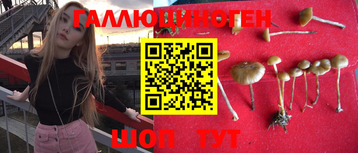 Галлюциногенные грибы мухоморы  Вход с VPN  Псилоцибиновые грибы Psilocybine cubensis  Отрадный 