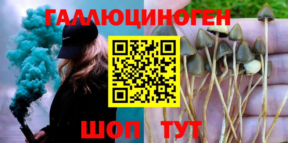 Галлюциногенные грибы Magic Shrooms Отрадный